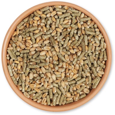 CJ Wildlife - 2,5kg Eenden en zwanen voer - Watervogelvoer - Gezond alternatief voor brood