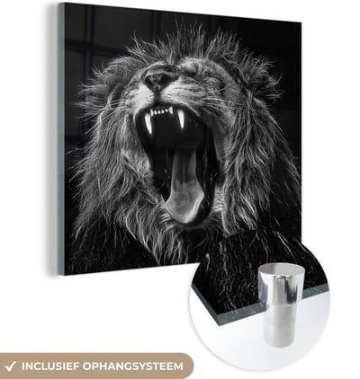 MuchoWow® Glasschilderij 50x50 cm - Schilderij acrylglas - Leeuwen - Profiel - Zwart - Wit - Foto op glas - Schilderijen