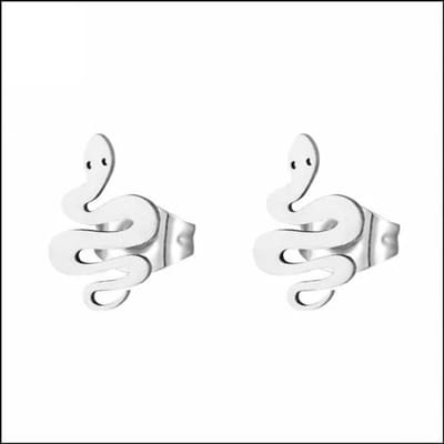 Aramat Jewels | Oorbellen | RVS Dieren Oorbellen Diverse Motieven - Dierenliefhebber Oorstekers | Slang/Zilverkleur-12x7mm | |8mm | Staal | Kinderen, Volwassenen | Verkleurd niet