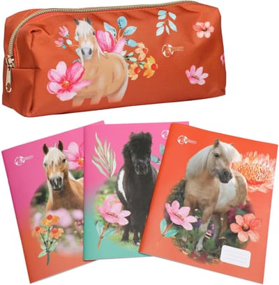 Penny | 3 x Schriften + Etui Saar