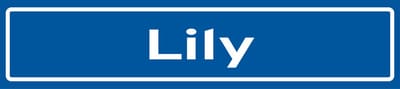 Fotofabriek Straatnaambord Lily | Straatnaambord met naam | Cadeau Lily