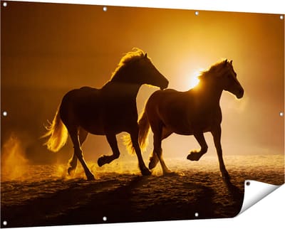 Gards Tuinposter Silhouet van Twee Paarden - 150x100 cm - Tuindoek - Tuindecoratie - Wanddecoratie buiten - Tuinschilderij