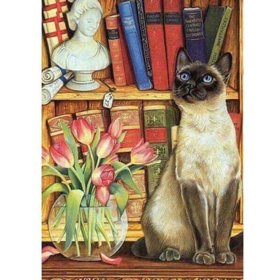 Mosaïque photos broderie chinoise diamant peinture animaux diamant broderie un chat Tony 20X30CM beige