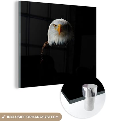 MuchoWow® Glasschilderij 50x50 cm - Schilderij acrylglas - Adelaar - Vogel - Zwart - Foto op glas - Schilderijen