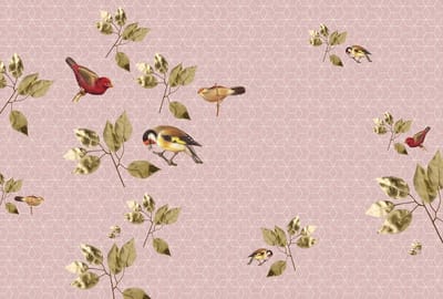 Fotobehang brillantBirds1 DD114322 Livingwalls Walls by Patel | 3D Fotobehang
