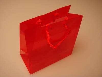 Geschenktassen 16x7,6x16cm met Draagkoorden (10 stuks)