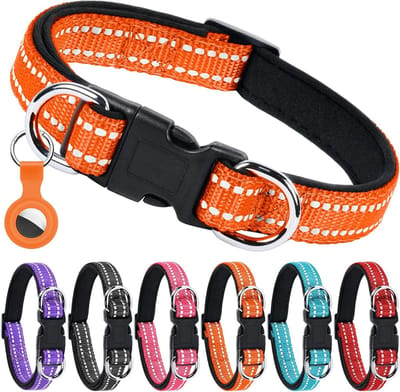 Reflecterende Nylon Hondenhalsband met Dubbele Beveiliging, Verstelbaar en Comfortabel met Neopreen Pad, Geschikt voor Alle Honden en AirTag Cover, Snelle Ontgrendeling met Dubbele D Ring