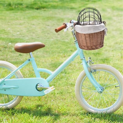Fietsmand Huisdier - Dierenmand Fiets - Huisdier Vervoeren - Stevig Ijzeren Frame - 30x25x30 cm - Bruin