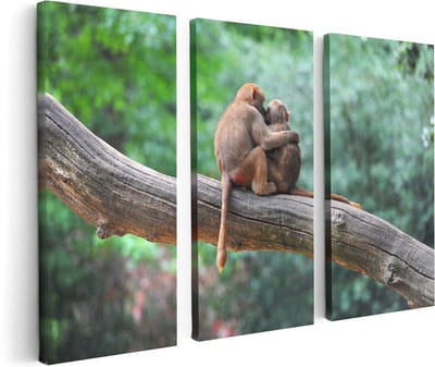 Artaza Canvas Schilderij Drieluik Twee Apen Vrienden Op Een Tak In Een Boom - 120x80 - Foto Op Canvas - Canvas Print