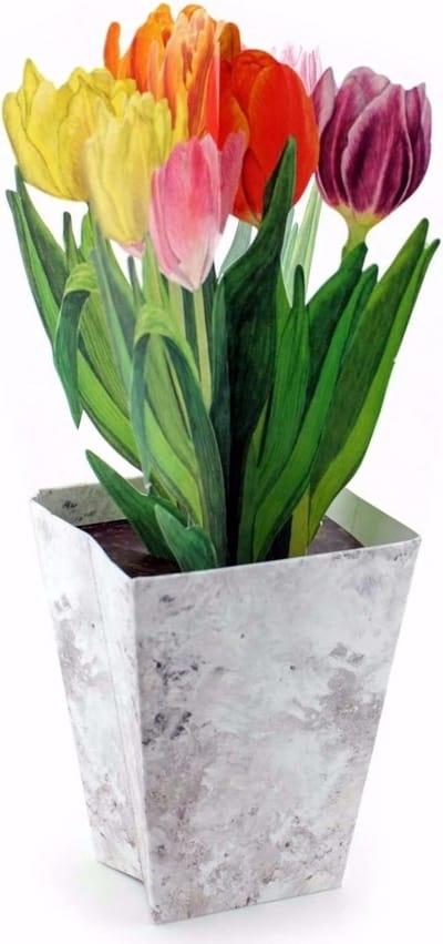 3D Pop-Up Wenskaart met Gekleurde Tulpen in Bloempot: Originele Lentegroet