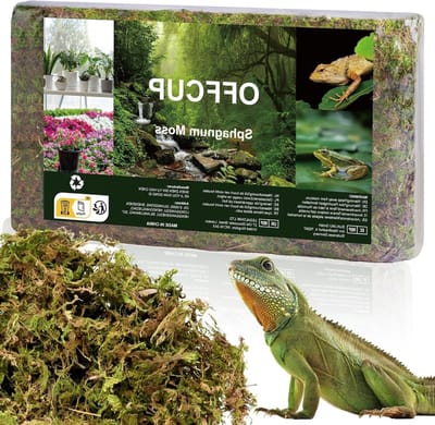 Premium Sphagnum Mos voor Terrarium - Natuurlijke Mos voor Reptielen, Orchideeën, Carnivore Planten en Succulenten - Ideaal voor Tuin en Bloemen