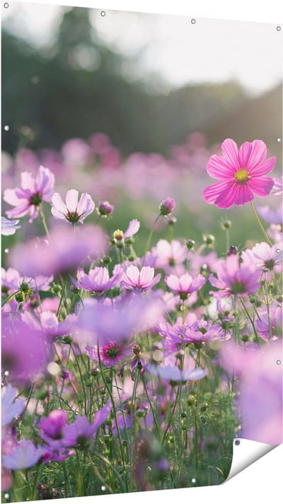 Gards Tuinposter Bloemenveld met Paarse Kosmos - 120x180 cm - Tuindoek - Tuindecoratie - Wanddecoratie buiten - Tuinschilderij