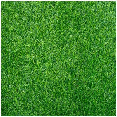 Kunstgras Loper - Buiten Tapijt - Balkon Decoratie - Hoge Dichtheid - 2x5m - Groen