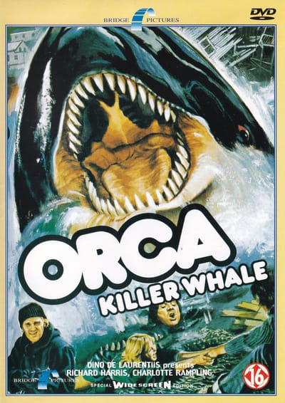 Orca Killer Whale