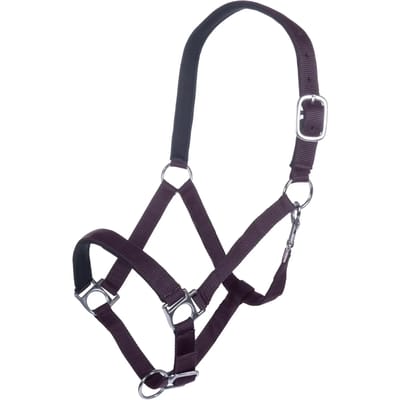 Halster voor paarden HKM Stars