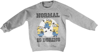 Minions Sweater/trui kids -Kids tm 4 jaar- Normal Life Is Boring Grijs