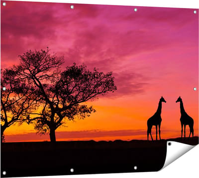 Gards Tuinposter Twee Giraffe Silhouetten bij Zonsondergang - 120x90 cm - Tuindoek - Tuindecoratie - Wanddecoratie buiten - Tuinschilderij