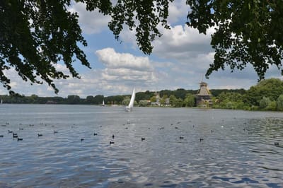 Fotobehang Kralingse Plas Rotterdam 250 x 260 cm - € 175,--