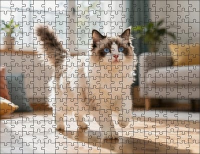 Puzzel Ragdoll in de woonkamer | 252 stukjes | Dierenpuzzel | Kattenpuzzel