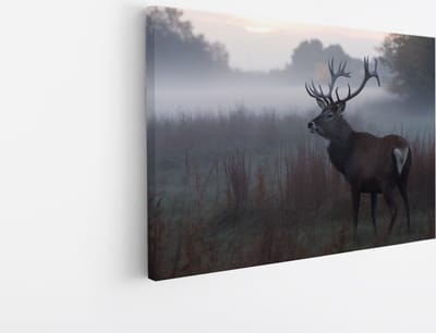 Saammp Canvas Schilderij - Hert - Mist - Natuur - Dieren - 45x30 - Foto op canvas - Wanddecoratie - Muurdecoratie Woonkamer - Slaapkamer decoratie - Canvas Print