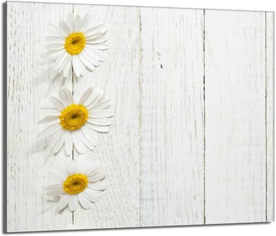 TMK ArtDeko - Glasbeschermplaat - 60x52 cm - Hittebestendig - Antibacterieel