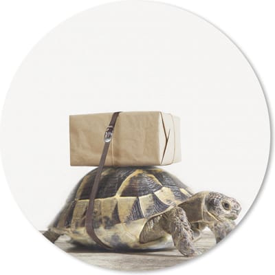 Muismat voor kinderen - Schildpad - Hout - Wit -Jongens - Meisjes - Kinderen - Muismat meisjes - Muismat jongens