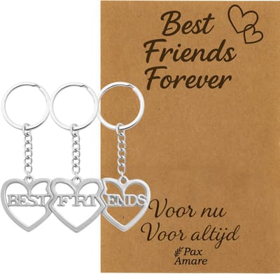 BFF Sleutelhanger voor 3 'Best Friends Forever' - 3 hartjes - Sleutelhangers op Cadeau Kaartje - Zilverkleurig - Vriendschap Symbool - Pax Amare