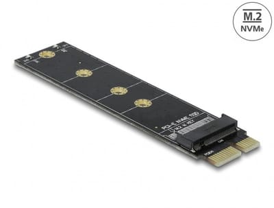 Delock - M.2 PCI Express x1 Adapter - NVMe SSD