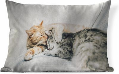 Sierkussens - Kussen - Knuffelende katten - 60x40 cm - Kussen van katoen