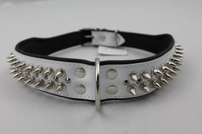 Dog's Companion Leren Halsband - met Spikes - Lengte: 75cm Verstelbaar van: 60-73 cm x 50 mm - Wit/Zwart