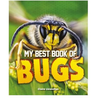 My Best Book Of Bugs - CLAIRE LLEWELLYN
