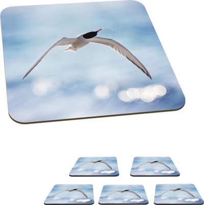 Onderzetters voor glazen - Vogel - Water - Blauw - 10x10 cm - Glasonderzetters - 6 stuks