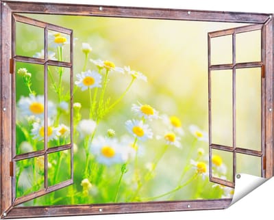 Gards Tuinposter Doorkijk Witte Kamille Bloemen met Zonneschijn - 150x100 cm - Tuindoek - Tuindecoratie - Wanddecoratie buiten - Tuinschilderij