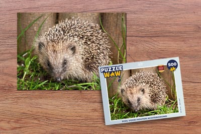 Puzzel Egel voor houten achtergrond - Legpuzzel - Puzzel 500 stukjes