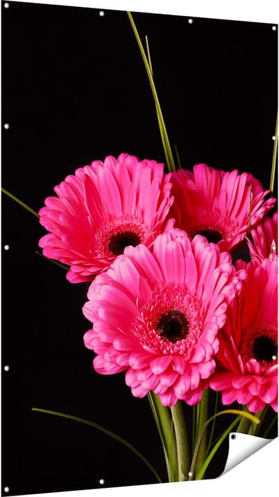 Gards Tuinposter Roze Gerbera Bloemen - 120x180 cm - Tuindoek - Tuindecoratie - Wanddecoratie buiten - Tuinschilderij