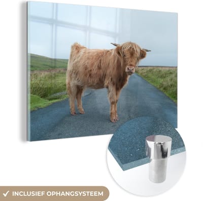 MuchoWow® Glasschilderij 150x100 cm - Schilderij acrylglas - Schotse Hooglander - Weg - Gras - Foto op glas - Schilderijen