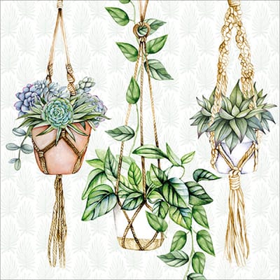 Ambiente - Servetten - 33 x 33 cm - Hanging Plants