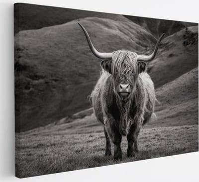 Saammp Canvas Schilderij - Schotse Hooglander Koe tussen de rode planten - Landschap - Dieren - Natuur - 30x20 - Foto op canvas - Wanddecoratie - muurdecoratie Woonkamer - Slaapkamer decoratie - Canvas Print