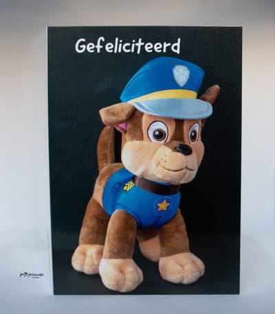 Kleintje Fotografie paw patrol verjaardagskaart (A6) kinderen, wenskaarten, Felicitatiekaarten, kaartjes versturen, verjaardag, gevouwen