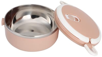 Dailygoods- Lunchbox Geïsoleerd - Ergonomische Handgreep - Voedselcontainer - Draagbaar - Voor Picknicks/Kamperen - Veiligheidsgespen