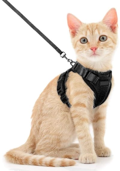 Dailygoods- Kattenharnas Verstelbaar - Veiligheidsharnas - Looplijn 150 cm - Voor Kleine/Middelgrote/Grote Katten - Wandelen/Reizen - Zwart - Hondentuig