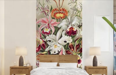 Behang - Fotobehang Bloemen - Ernst Haeckel - Vintage - Orchidee - Breedte 120 cm x hoogte 240 cm
