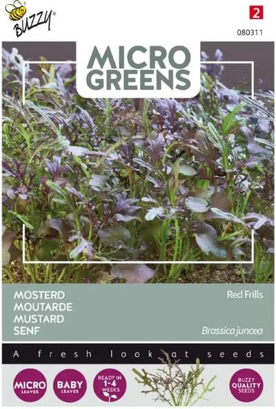 Buzzy zaden microgreens mosterdsla Red Frills - Pittige roodbladige garnituur
