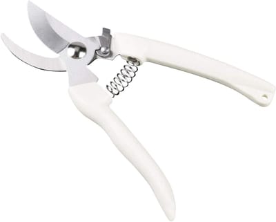 Snoeischaar - Tuinschaar Entgereedschap - Planten Snoeien - Roestvrij Staal - 180 mm - Zilver
