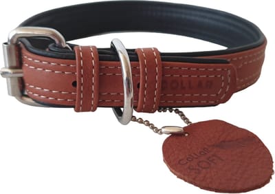 WAUDOG Soft Halsband / Hondenhalsband - Leder - Bruin - M - Breedte: 25 mm - Nekomtrek: 38 - 49 cm (GELIEVE ALVORENS BESTELLEN OPMETEN)