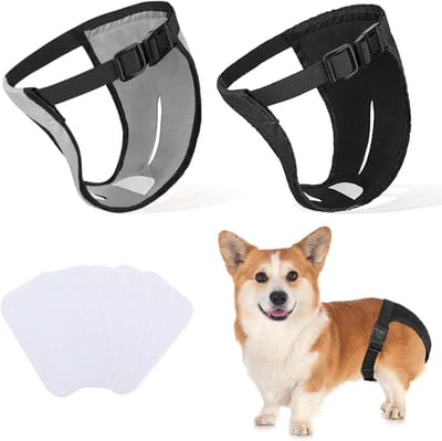 Hondenbroekjes voor Vrouwelijke Honden - 2 Stuks, Aanpasbare Beschermende Luiers met 6 Sanitaire Maandverbanden, Ideaal voor Loopse Periodes en Activiteiten