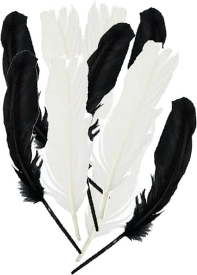 Glorex Hobby Sierveren - Zwarte en witte decoratie veertjes - 30 stuks