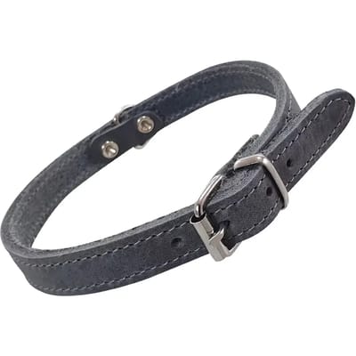 Hondenhalsband Nobby Pet Tabil