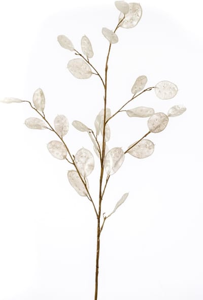 Emerald - Kunstbloem Judaspenning 105cm wit - Kunstplant voor binnen