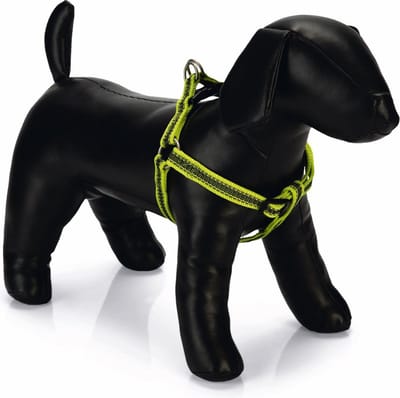 Beeztees nylon borsttuig Cabo geel 26 - 40 cm x 10 mm